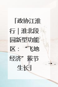 政协江淮行｜淮北段园新型功能区：“飞地经济”拔节生长
