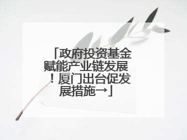 政府投资基金赋能产业链发展!厦门出台促发展措施→