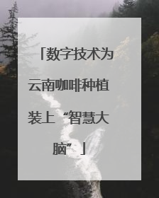 数字技术为云南咖啡种植装上“智慧大脑”