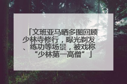 文班亚马晒多图回顾少林寺修行，曝光剃发、练功等场景，被戏称“少林第一高僧”