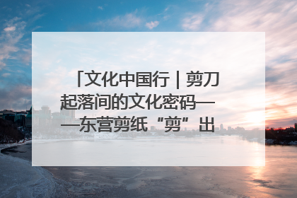 文化中国行｜剪刀起落间的文化密码——东营剪纸“剪”出非遗传承与现代生活的融合之道