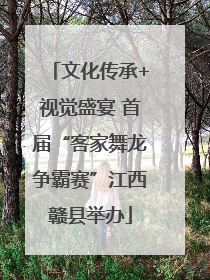 文化传承+视觉盛宴 首届“客家舞龙争霸赛”江西赣县举办
