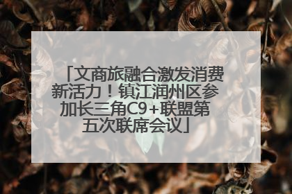 文商旅融合激发消费新活力！镇江润州区参加长三角C9+联盟第五次联席会议
