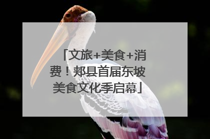 文旅+美食+消费！郏县首届东坡美食文化季启幕