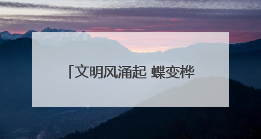 文明风涌起 蝶变桦南城——桦南县文明城市创建工作综述