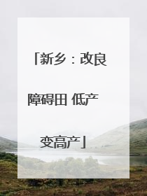 新乡：改良障碍田 低产变高产