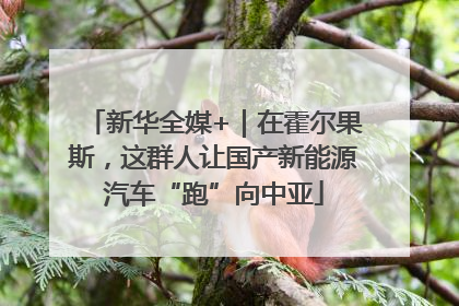 新华全媒+｜在霍尔果斯，这群人让国产新能源汽车“跑”向中亚