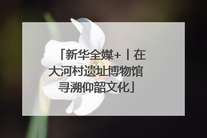 新华全媒+丨在大河村遗址博物馆寻溯仰韶文化