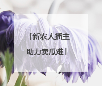 新农人播主 助力卖瓜难
