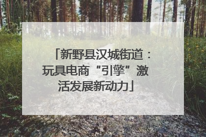 新野县汉城街道：玩具电商“引擎”激活发展新动力