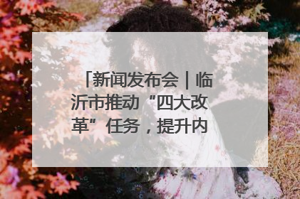新闻发布会｜临沂市推动“四大改革”任务，提升内部审计监督效能