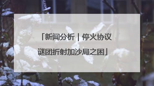 新闻分析｜停火协议谜团折射加沙局之困