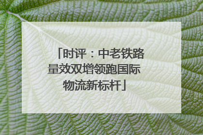 时评：中老铁路量效双增领跑国际物流新标杆