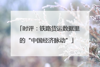 时评：铁路货运数据里的“中国经济脉动”