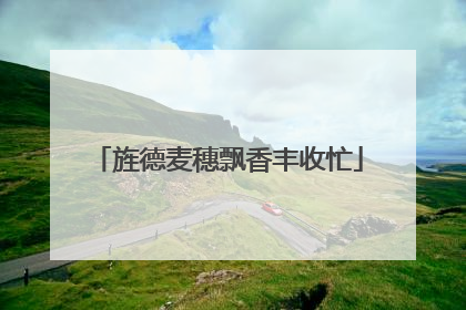 旌德麦穗飘香丰收忙