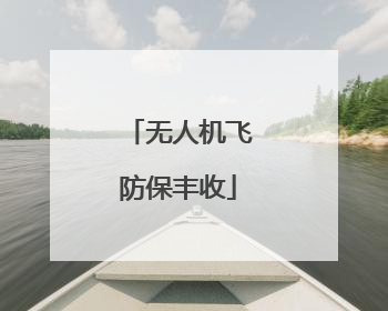 无人机飞防保丰收