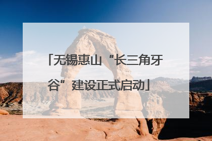 无锡惠山“长三角牙谷”建设正式启动