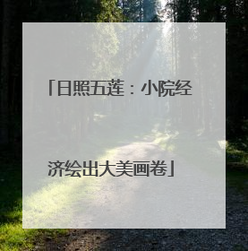 日照五莲：小院经济绘出大美画卷