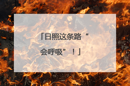 日照这条路“会呼吸”！