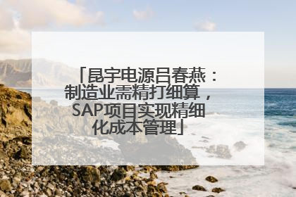 昆宇电源吕春燕：制造业需精打细算，SAP项目实现精细化成本管理
