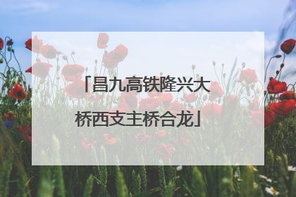 昌九高铁隆兴大桥西支主桥合龙