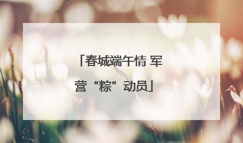 春城端午情 军营“粽”动员