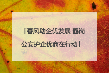 春风助企优发展 鹤岗公安护企优商在行动