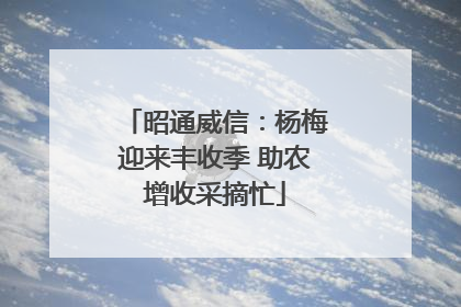 昭通威信：杨梅迎来丰收季 助农增收采摘忙