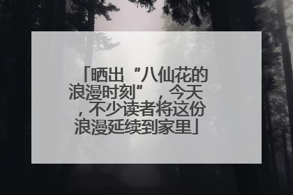 晒出“八仙花的浪漫时刻”，今天，不少读者将这份浪漫延续到家里