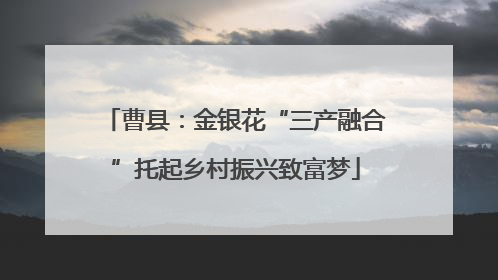 曹县：金银花“三产融合”托起乡村振兴致富梦