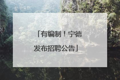 有编制！宁德发布招聘公告