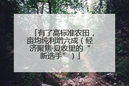 有了高标准农田，亩均纯利增六成（经济聚焦·夏收里的“新选手”）