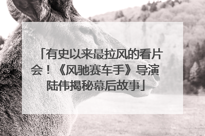 有史以来最拉风的看片会！《风驰赛车手》导演陆伟揭秘幕后故事