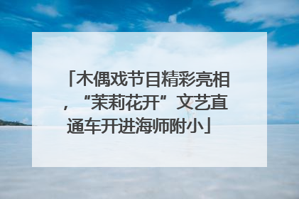 木偶戏节目精彩亮相，“茉莉花开”文艺直通车开进海师附小