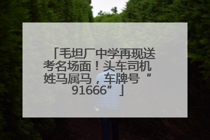毛坦厂中学再现送考名场面！头车司机姓马属马，车牌号“91666”
