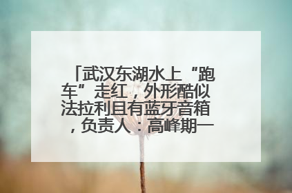 武汉东湖水上“跑车”走红，外形酷似法拉利且有蓝牙音箱，负责人：高峰期一两百人排队