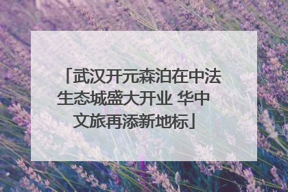 武汉开元森泊在中法生态城盛大开业 华中文旅再添新地标