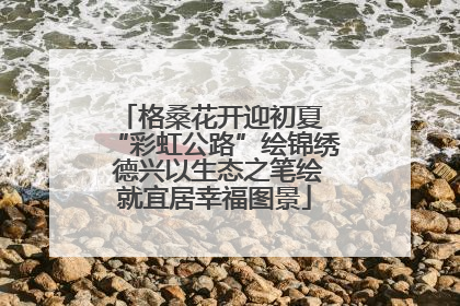 格桑花开迎初夏 “彩虹公路”绘锦绣 德兴以生态之笔绘就宜居幸福图景