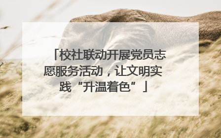 校社联动开展党员志愿服务活动，让文明实践“升温着色”