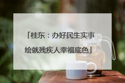 桂东：办好民生实事 绘就残疾人幸福底色
