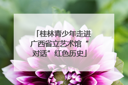 桂林青少年走进广西省立艺术馆“对话”红色历史