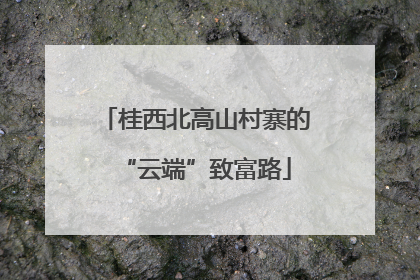 桂西北高山村寨的“云端”致富路
