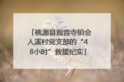 桃源县观音寺镇会人溪村党支部的“48小时”救援纪实