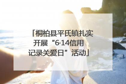 桐柏县平氏镇扎实开展“6·14信用记录关爱日”活动