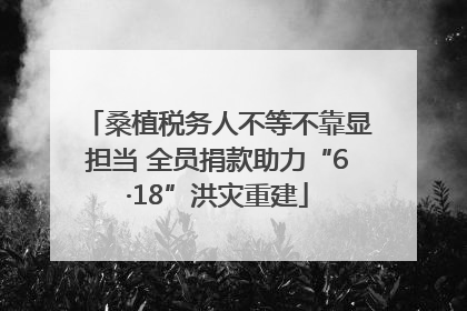 桑植税务人不等不靠显担当 全员捐款助力“6·18”洪灾重建