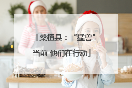 桑植县：“猛兽”当前 他们在行动