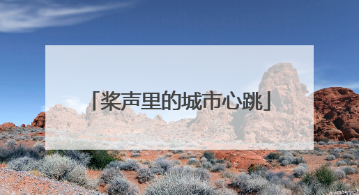 桨声里的城市心跳