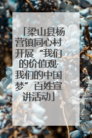 梁山县杨营镇同心村开展“我们的价值观·我们的中国梦”百姓宣讲活动