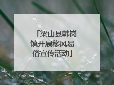 梁山县韩岗镇开展移风易俗宣传活动
