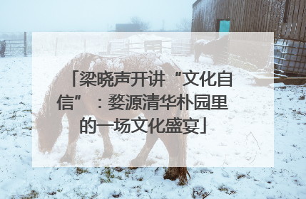 梁晓声开讲“文化自信”：婺源清华朴园里的一场文化盛宴